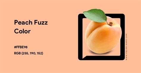 peach fuzz color rgb